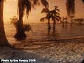Guy Fanguy - Artist - Photographer - Guy Fanguy - Campgrounds - Louisiana -  Lake End Park in Morgan City (107).jpg Size: 53428 - 13